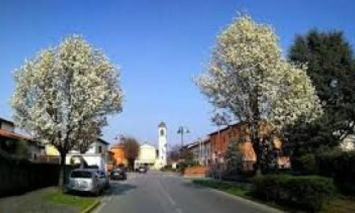 Img-onoranze-funebri-cerro-al-lambro